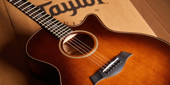 アコースティックギター スプルーストップ アコギのトップ材 シトカ・スプルース編｜無射